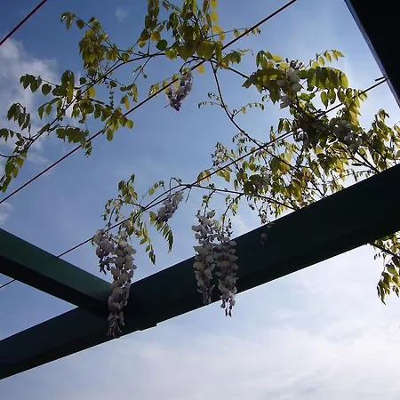 Agriturismo Fattoria Marchetti Montalto delle Marche