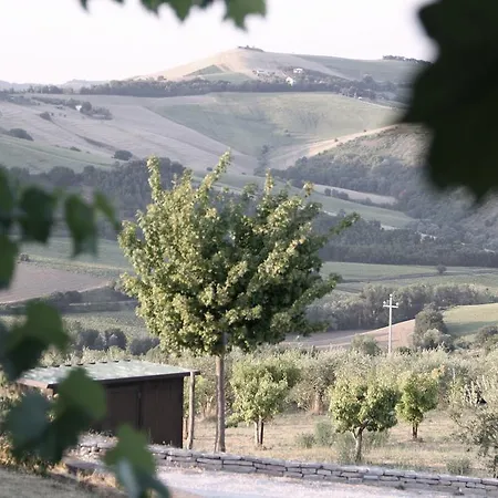 팜스테이 Agriturismo Fattoria Marchetti Montalto delle Marche