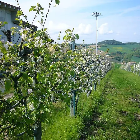 مزرعة للإقامة Agriturismo Fattoria Marchetti