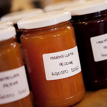 مزرعة للإقامة Agriturismo Fattoria Marchetti *