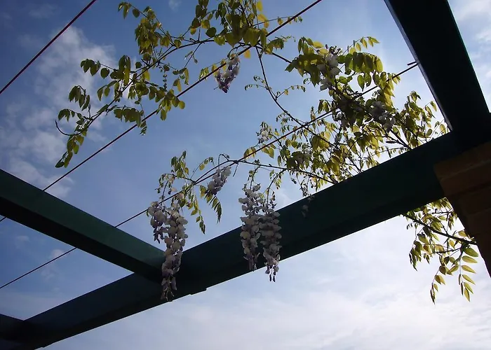 Agriturismo Fattoria Marchetti Montalto delle Marche